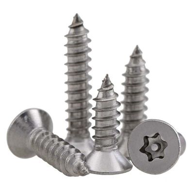 Torx 변조 방지 셀프 태핑 나사